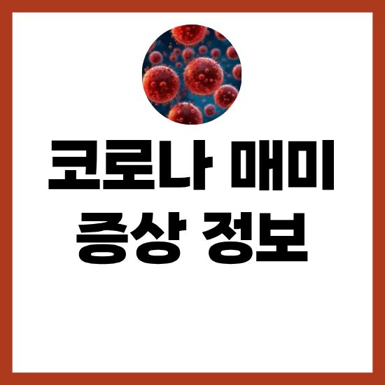 코로나 매미 증상