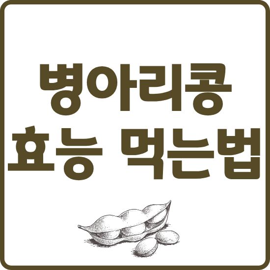 병아리콩 효능